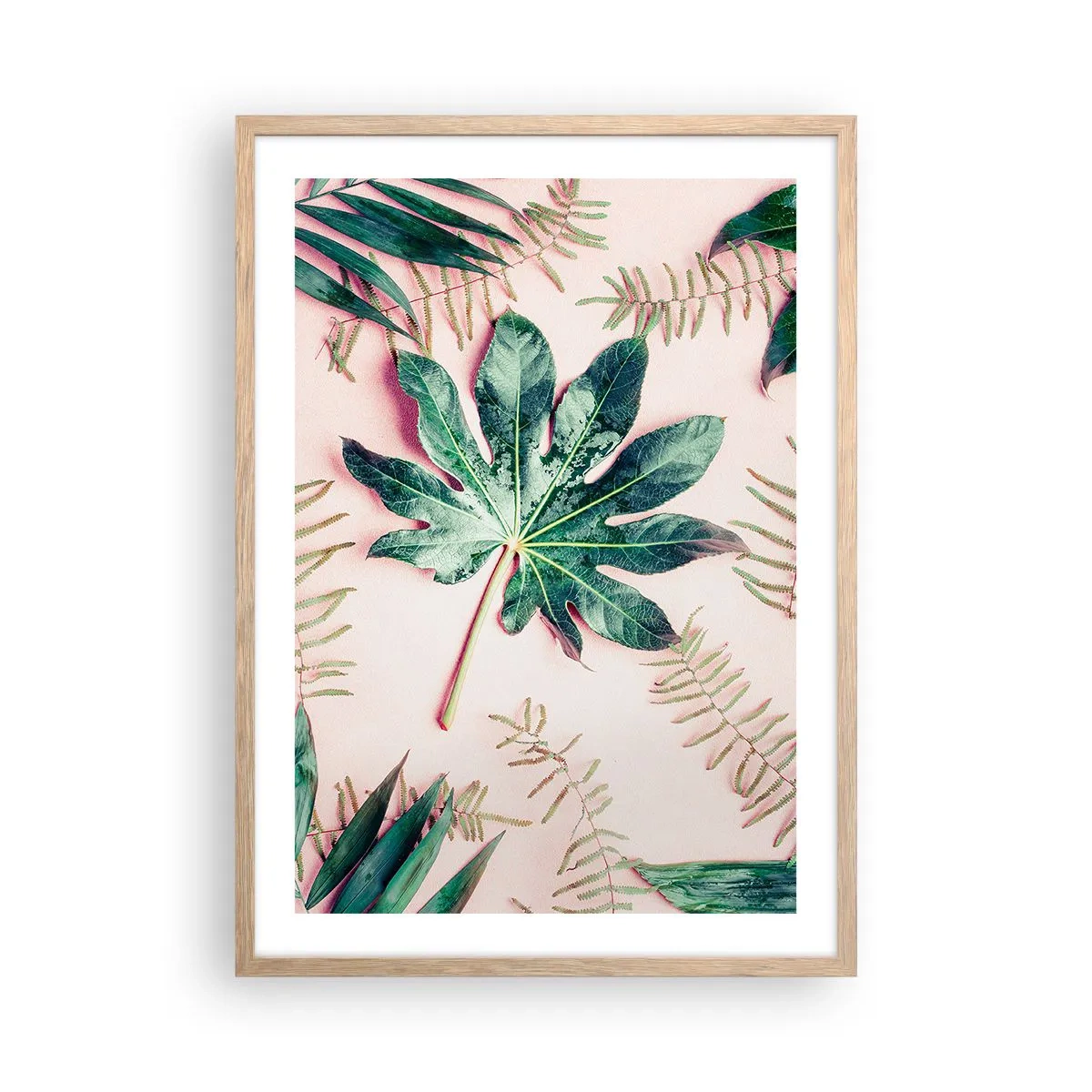 Plakat w ramie jasny dąb - Studium zieleni na różowym tle - 50x70 cm