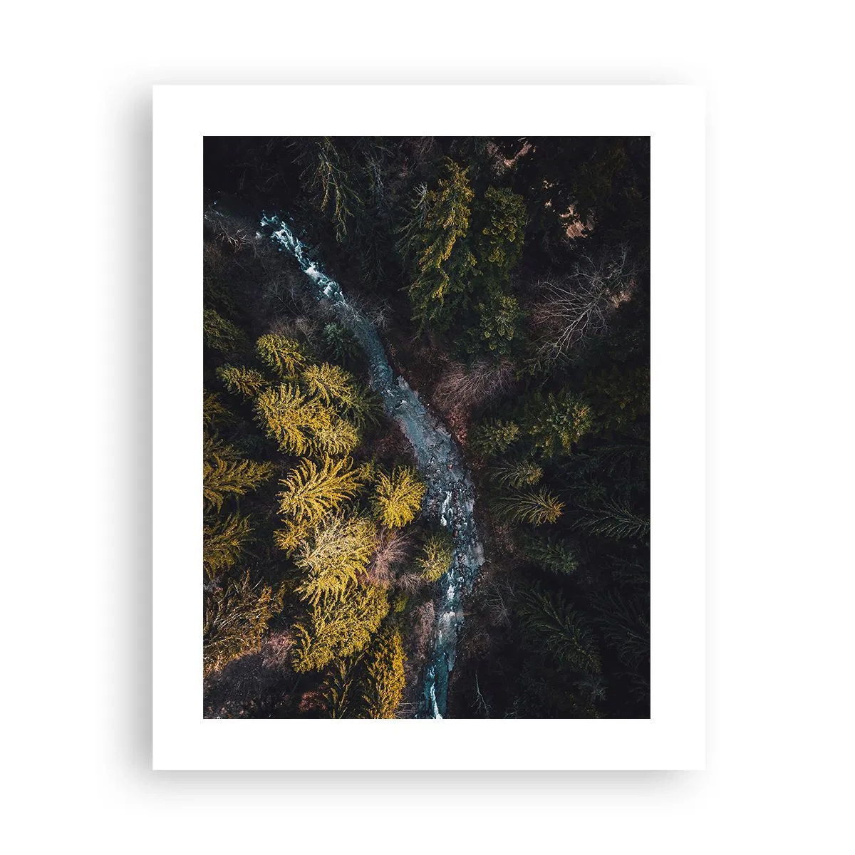 Plakat - Szybko, coraz szybciej - 40x50 cm