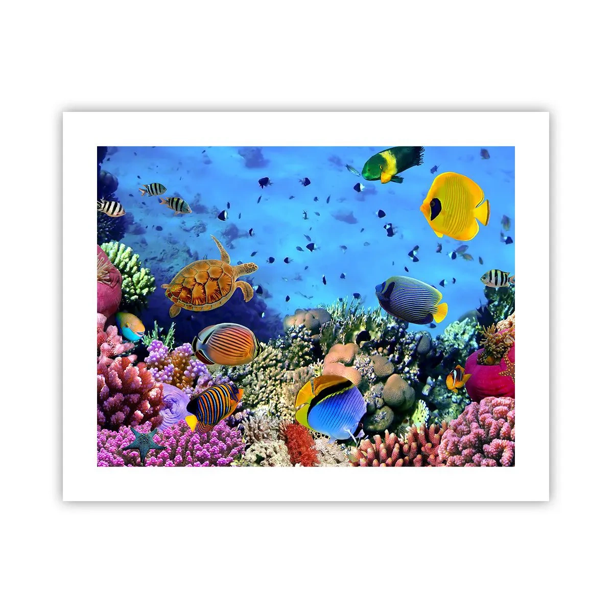 Plakat - I co my wiemy o życiu... - 50x40 cm