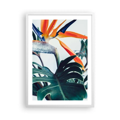 Plakat w białej ramie - Ptakokrzak - 50x70 cm