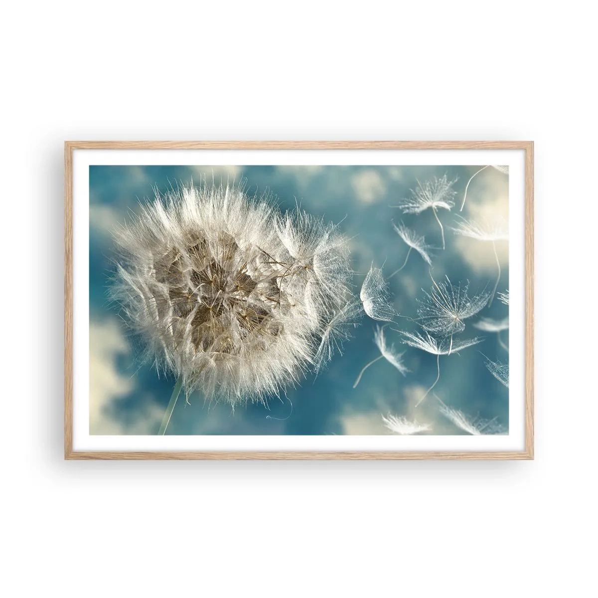 Plakat w ramie jasny dąb - Oddech anioła - 91x61 cm