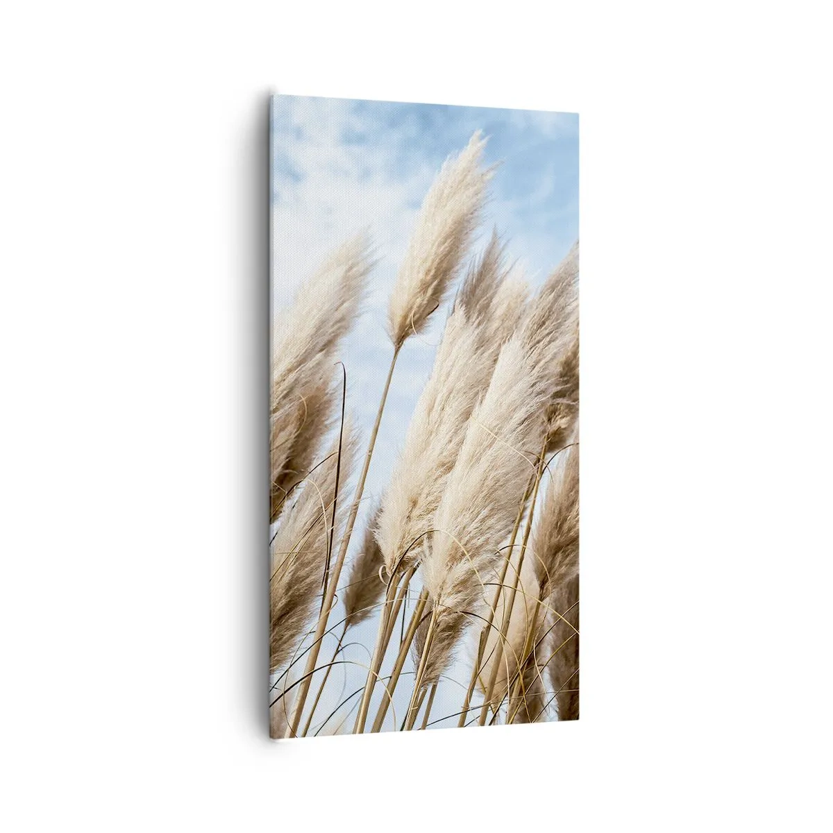 Obraz na płótnie - Słoneczna i wietrzna pieszczota - 65x120 cm