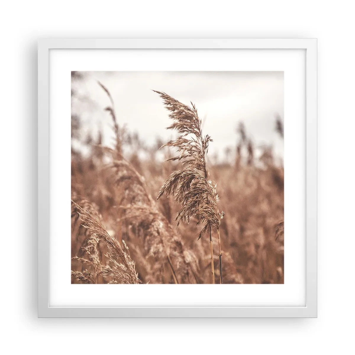 Plakat w białej ramie - Na polach już jesień - 40x40 cm