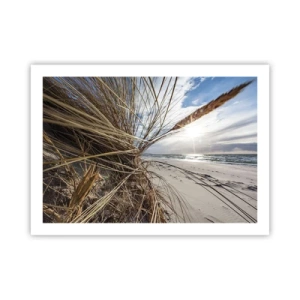 Plakat - Spotkanie żywiołów - 70x50 cm