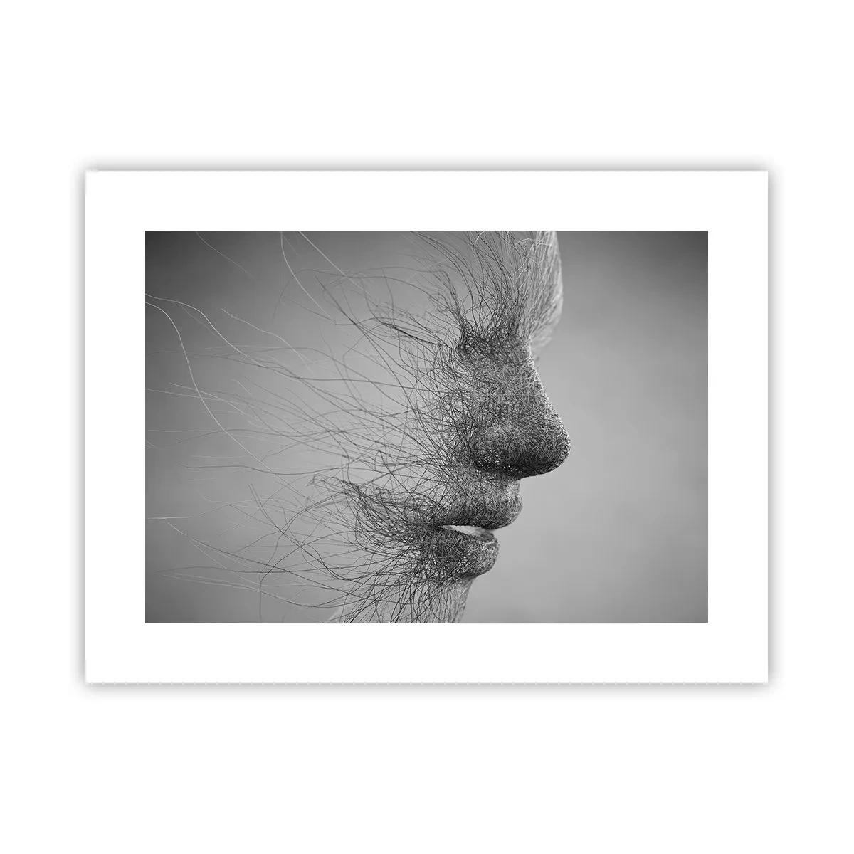 Plakat - Duch wiatru - 40x30 cm