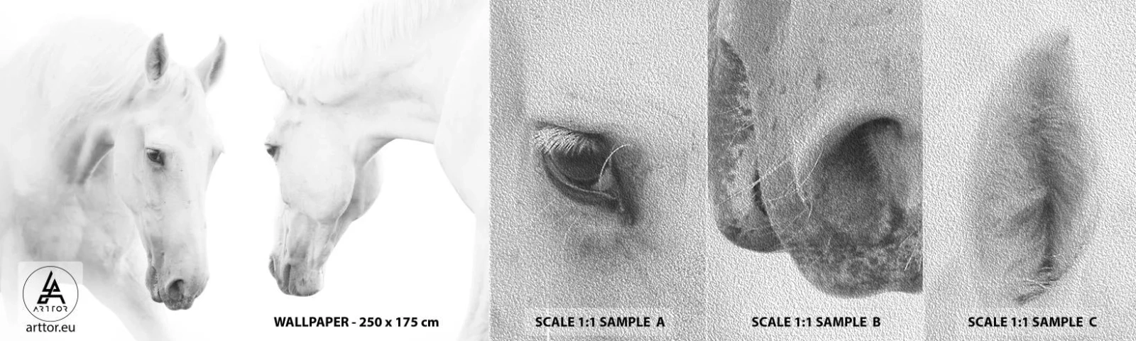 Fototapeta Próbka Premium Sand - Czy to jest przyjaźń…? - Konie, Natura, Zwierzęta - 100x30 cm