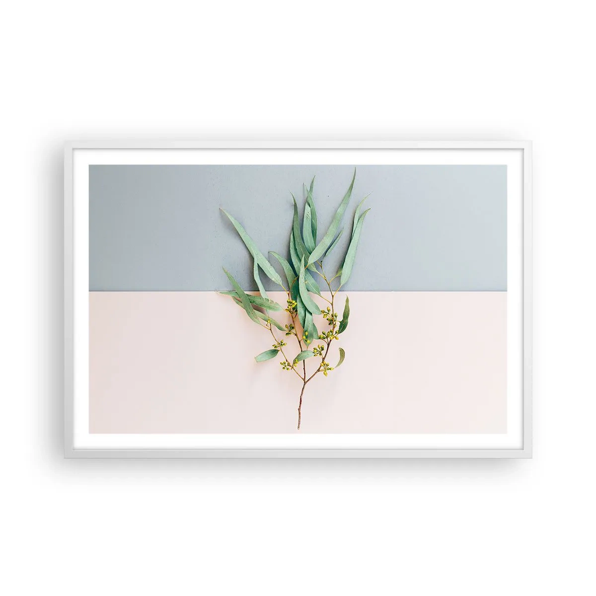 Plakat w białej ramie - Pastelowa subtelność - 91x61 cm