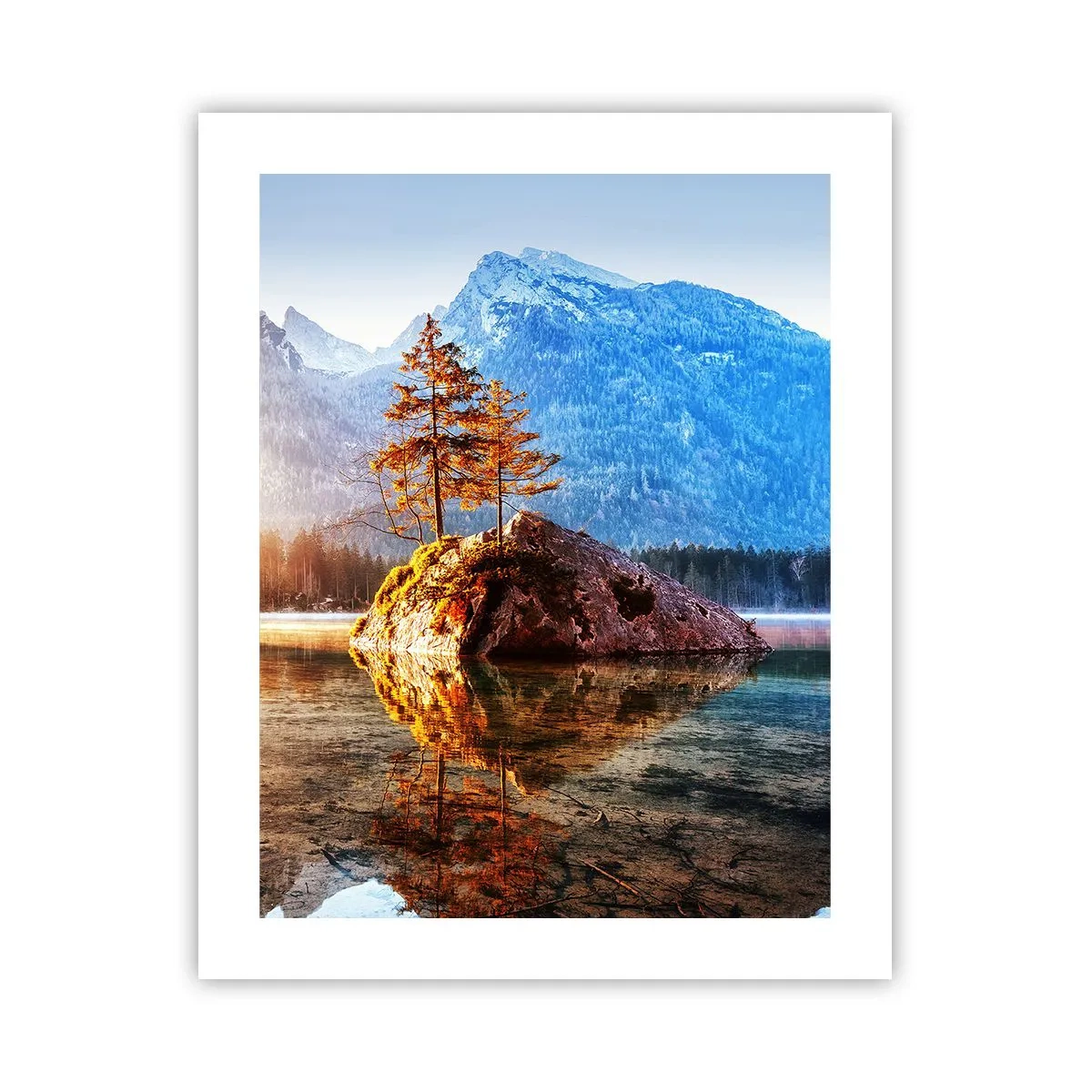 Plakat - Natura w nowym świetle - 40x50 cm
