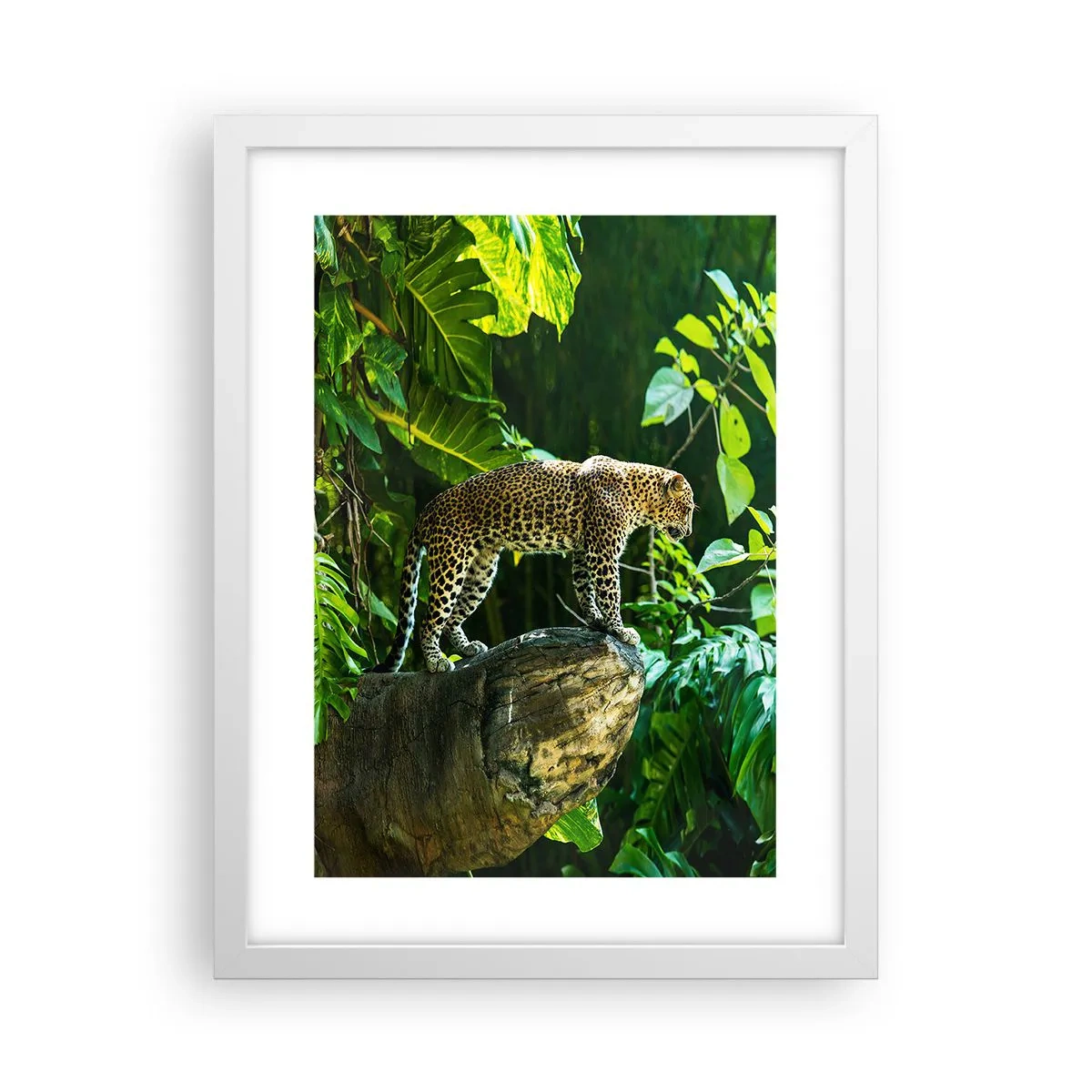 Plakat w białej ramie - Na łowy? - 30x40 cm