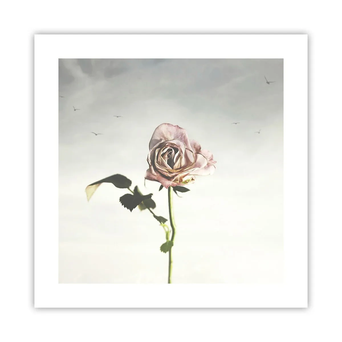Plakat - Powitanie wiosny - 40x40 cm