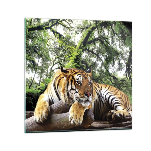 Obraz na szkle - Z wyrazami szacunku - 50x50 cm