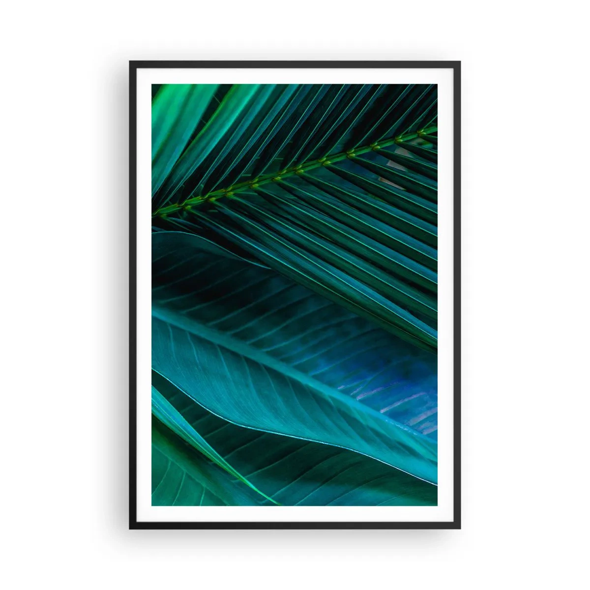 Plakat w czarnej ramie - Anatomia zieleni - 70x100 cm