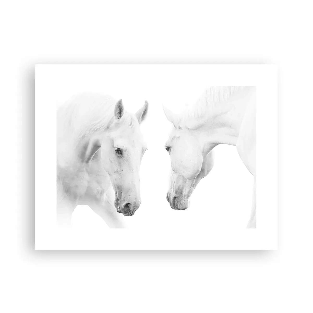 Plakat - Czy to jest przyjaźń…? - 40x30 cm