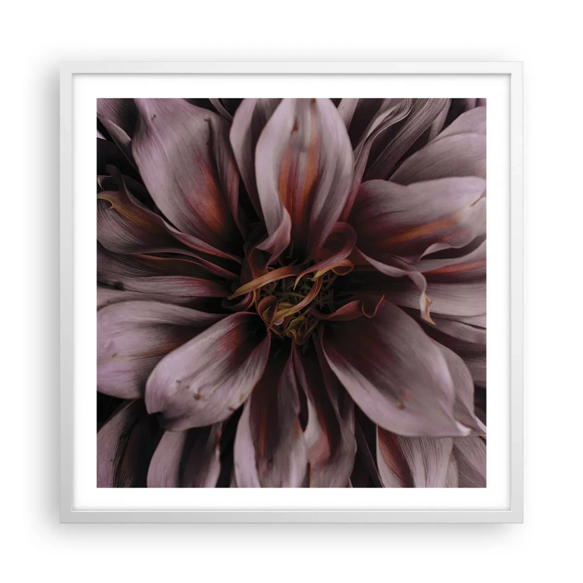 Plakat w białej ramie - Kwietne serce - 60x60 cm