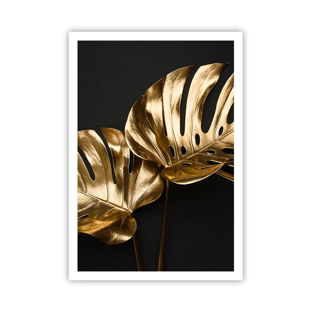 Plakat - Skarby natury - 70x100 cm