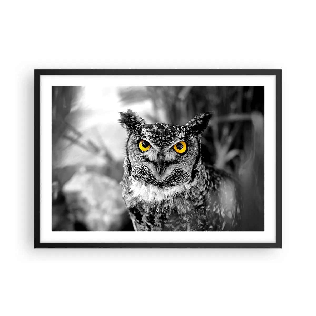 Plakat w czarnej ramie - Sowa w czarno-białym ujęciu z żółtymi oczami - 70x50cm - Nic się nie ukryje - Nowoczesna dekoracja ścienna do salonu i sypialni ARTTOR