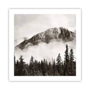 Plakat - Granitowy władca - 50x50 cm