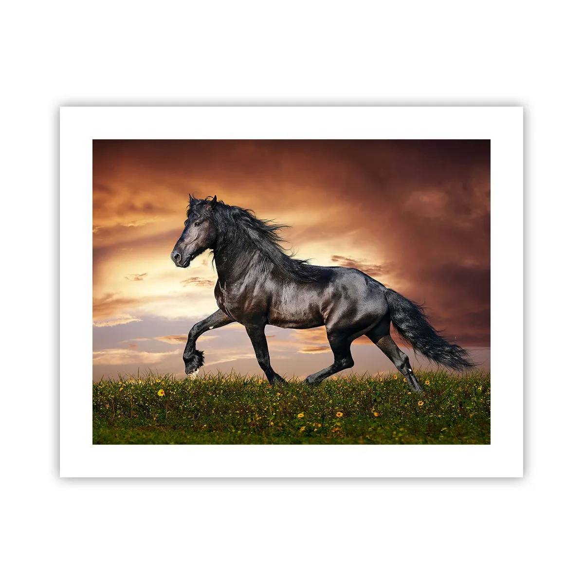 Plakat - Czarny książę - 50x40 cm