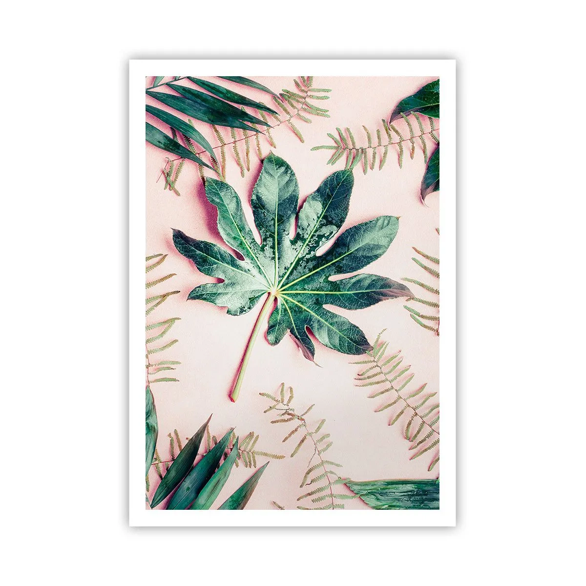 Plakat - Studium zieleni na różowym tle - 70x100 cm