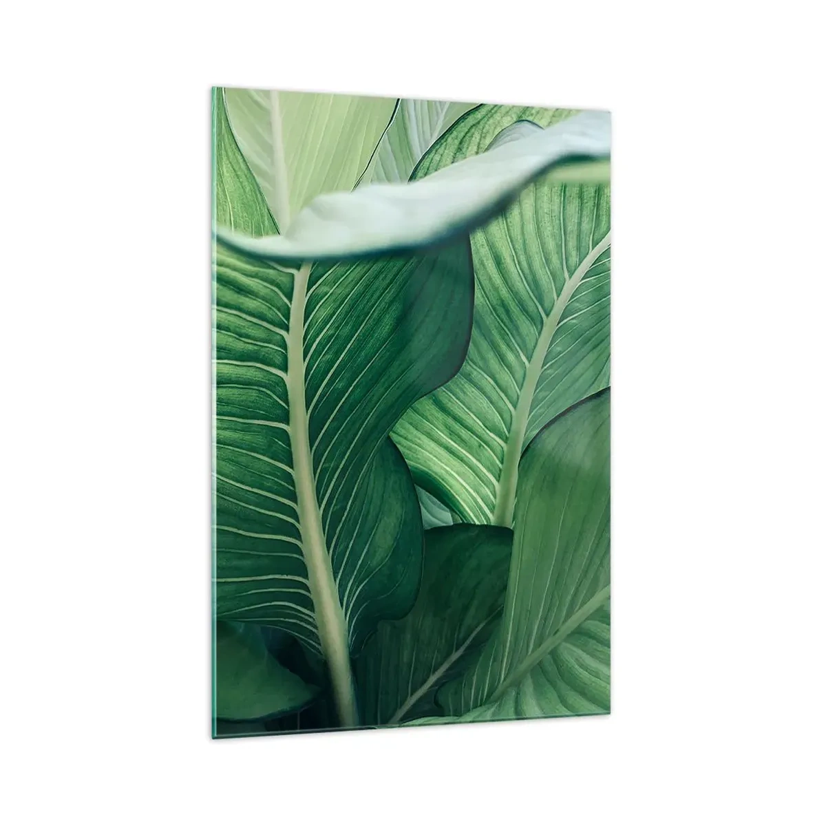 Obraz na szkle - Zielone liście z wyrazistymi detalami i strukturą - 70x100cm - Życie intensywnie zielone - Nowoczesna dekoracja ścienna do salonu i sypialni ARTTOR