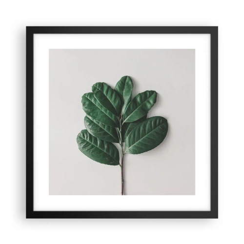 Plakat w czarnej ramie - Rysunek samej natury - 40x40 cm