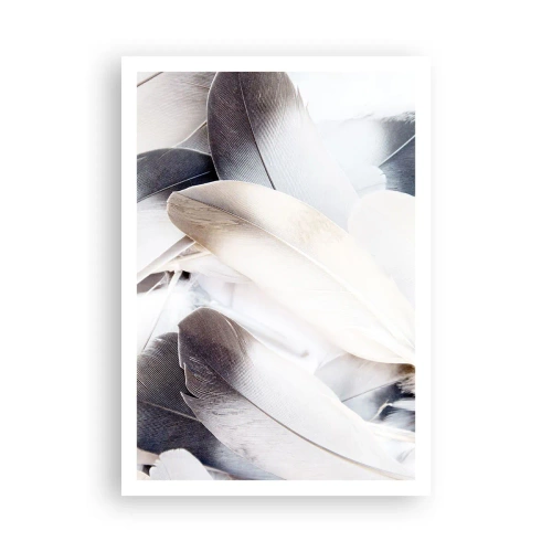 Plakat - Niemal anielskie - 70x100 cm
