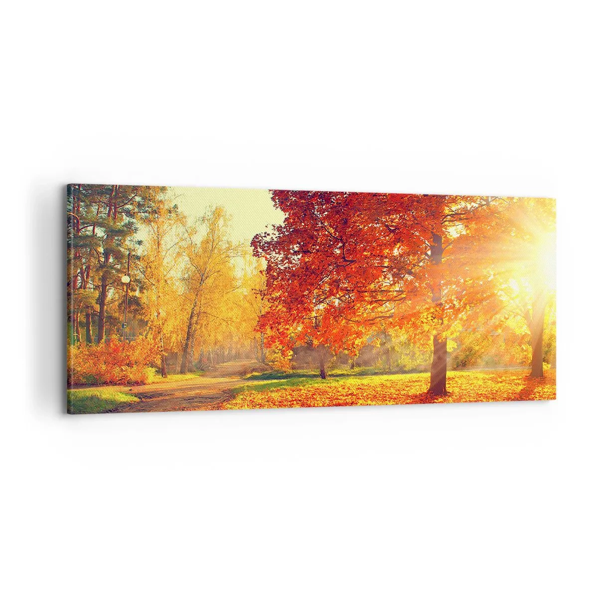 Obraz na płótnie - Rude jest piękne - 100x40 cm