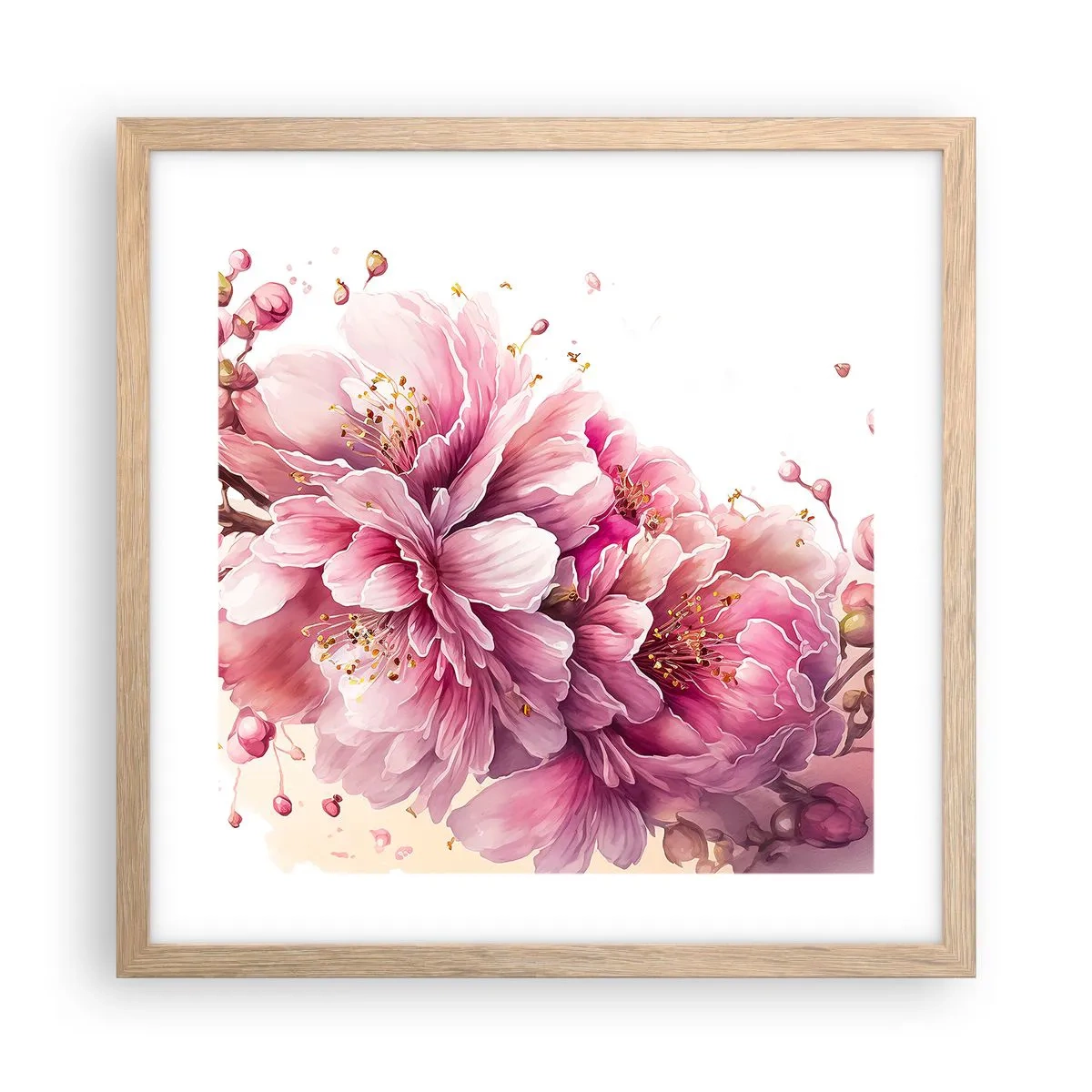 Plakat w ramie jasny dąb - Kwiat kwitnącej wiśni - 40x40 cm