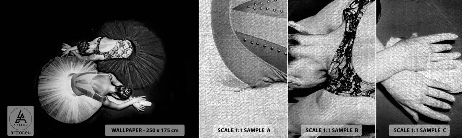 Fototapeta Próbka Premium Canvas - Jin i jang – idealna równowaga - Baletnica, Balet, Taniec - 100x30 cm