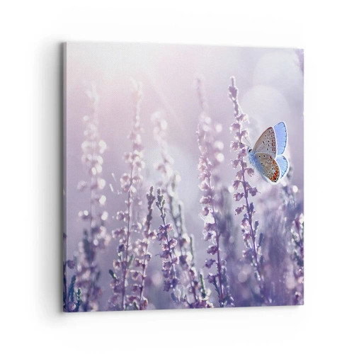 Obraz na płótnie - Pocałunek motyla - 70x70 cm