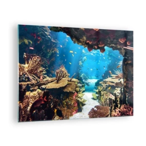 Obraz na szkle - Podwodny świat z rafą koralową i rybami - 70x50cm - Nawet ci się nie śniło - Nowoczesna dekoracja ścienna do salonu i sypialni ARTTOR
