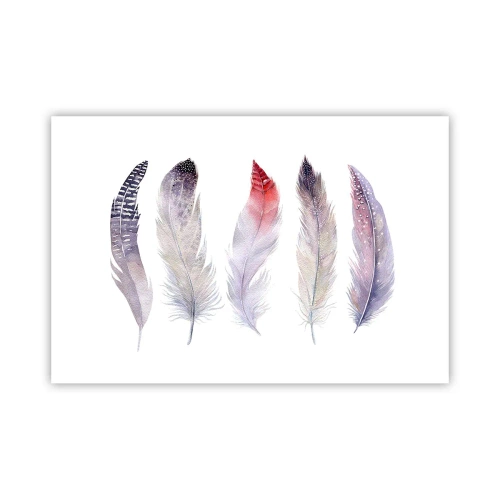 Plakat - Delikatne jak różnobarwna mgła - 91x61 cm