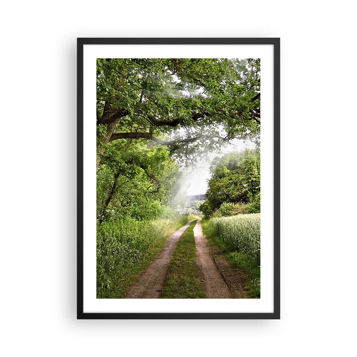 Plakat w czarnej ramie - Zacieniona polna droga w otoczeniu bujnej zieleni drzew i łąk - 50x70cm - Et in Arcadia ego - Nowoczesna dekoracja ścienna do salonu i sypialni ARTTOR