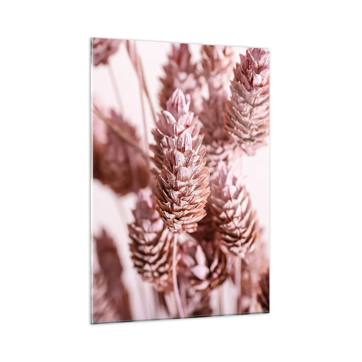 Obraz na szkle - Suszone kłosy traw w odcieniach pudrowego różu - 50x70cm - Z pozoru niepozorne - Nowoczesna dekoracja ścienna do salonu, kuchni i sypialni ARTTOR