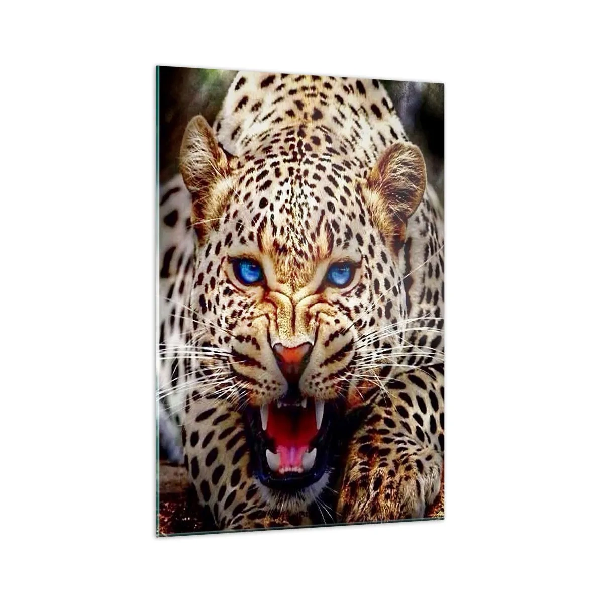 Obraz na szkle - Groźny leopard z intensywnie błękitnymi oczami - 70x100cm - Złość piękności nie szkodzi - Nowoczesna dekoracja ścienna do salonu i sypialni ARTTOR