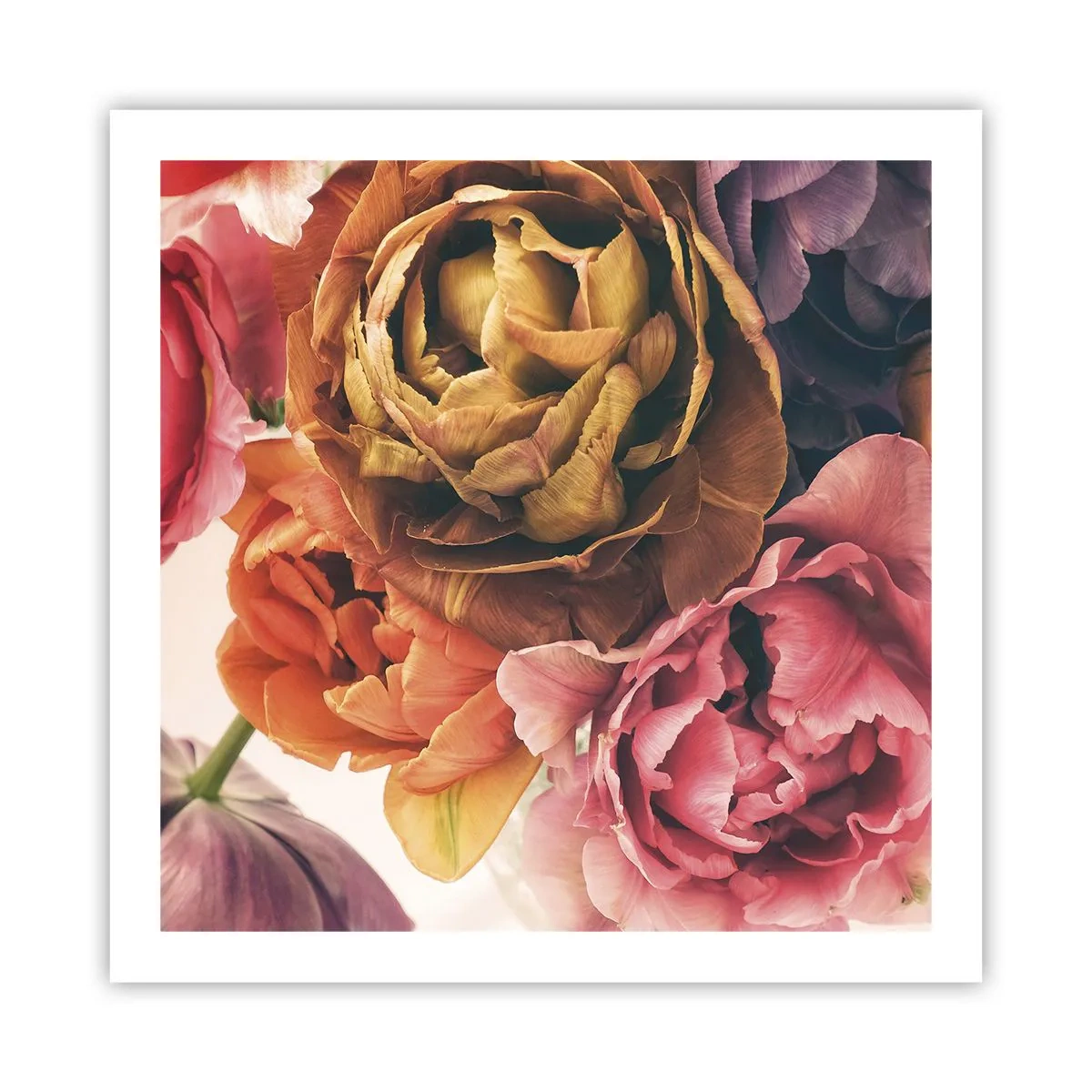 Plakat - Święto życia - 60x60 cm