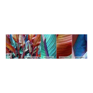 Fototapeta Próbka Samoprzylepna Deluxe Sticker - Kolorowy gąszcz - Liście, Botanika, Boho - 100x30 cm