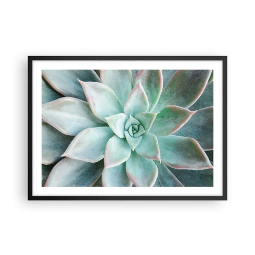 Plakat w czarnej ramie - Zbliżenie na zielony sukulent - 70x50cm - Serce pustyni - Nowoczesna dekoracja ścienna do salonu i sypialni ARTTOR