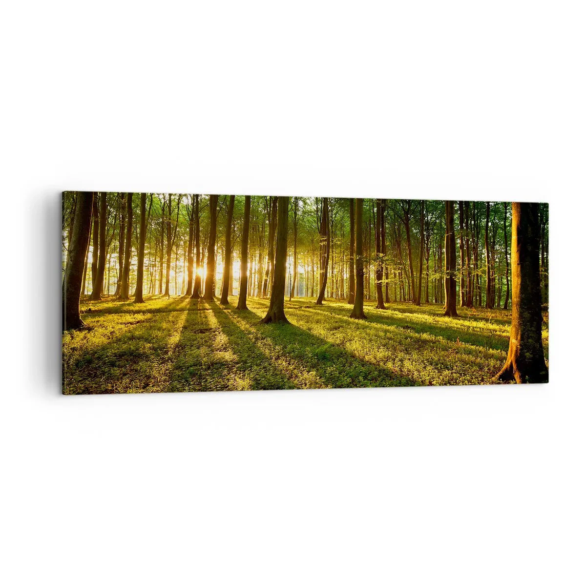 Obraz na płótnie - Zachodzące słońce w lesie liściastym - 140x50cm - Fotografia wszystkich wiosen - Nowoczesna dekoracja ścienna do salonu i sypialni ARTTOR