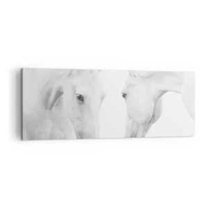 Obraz na płótnie - Minimalistyczny portret dwóch białych koni - 140x50cm - Czy to jest przyjaźń…? - Nowoczesna dekoracja ścienna do salonu i sypialni ARTTOR