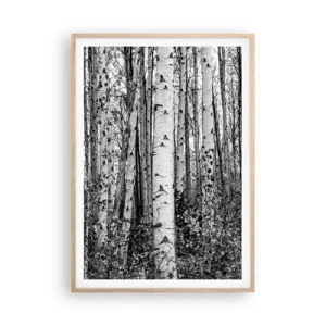 Plakat w ramie jasny dąb - Brzozowa kolumnada - 70x100 cm