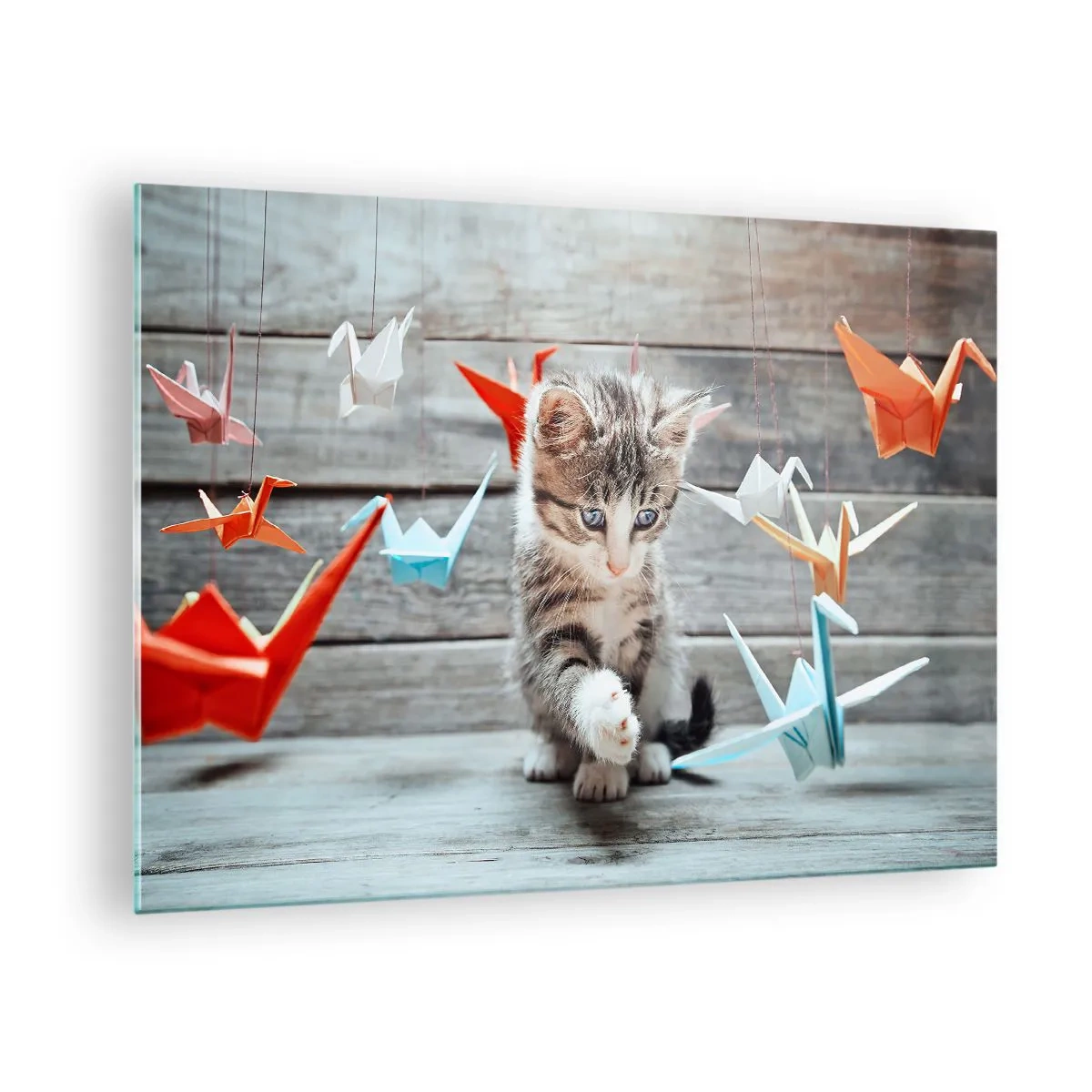 Obraz na szkle - Kot bawiący się kolorowymi origami w kształcie żurawi - 70x50cm - Pierwsza lekcja - Nowoczesna dekoracja ścienna do salonu i sypialni ARTTOR