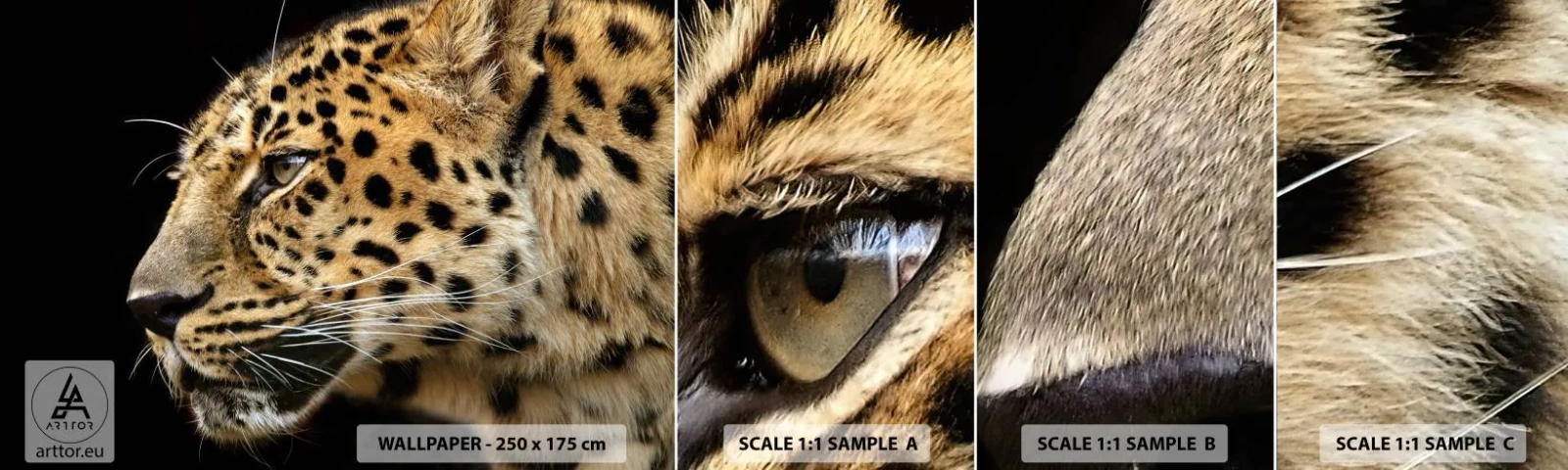 Fototapeta Próbka Standard Eco - Spokojny, skupiony, gotowy - Zwierzęta, Lampart, Afryka - 100x30 cm