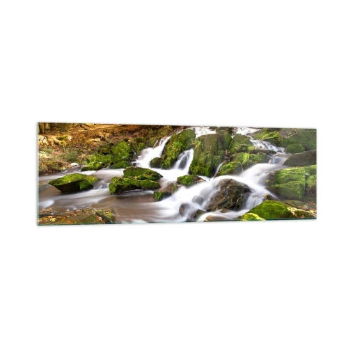 Obraz na szkle - Zalesiony krajobraz z wodospadem otoczonym mchem - 160x50cm - Bystro przez jesienny las - Nowoczesna dekoracja ścienna do salonu i sypialni ARTTOR