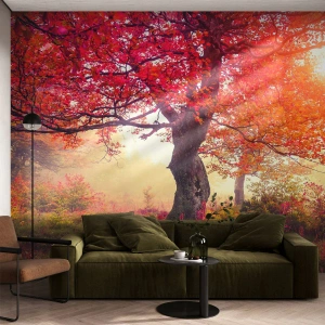 Fototapeta Standard Eco - Szał rozkwitu - Krajobraz, Park, Kwiaty - 450x315 cm