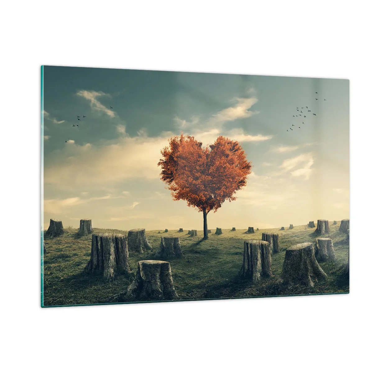 Obraz na szkle - Drzewo w kształcie serca otoczone ściętymi pniami na polanie - 120x80cm - Wciąż jest nadzieja - Nowoczesna dekoracja ścienna do salonu, kuchni i sypialni ARTTOR