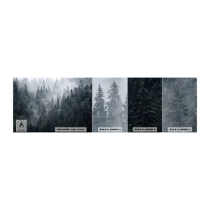 Fototapeta Próbka Samoprzylepna Deluxe Sticker - Leśny świt - Krajobraz, Las, Natura - 100x30 cm