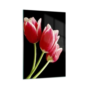 Obraz na szkle - Czerwone tulipany z kroplami rosy na czarnym tle - 70x100cm - Obietnica czystej miłości - Nowoczesna dekoracja ścienna do salonu i sypialni ARTTOR