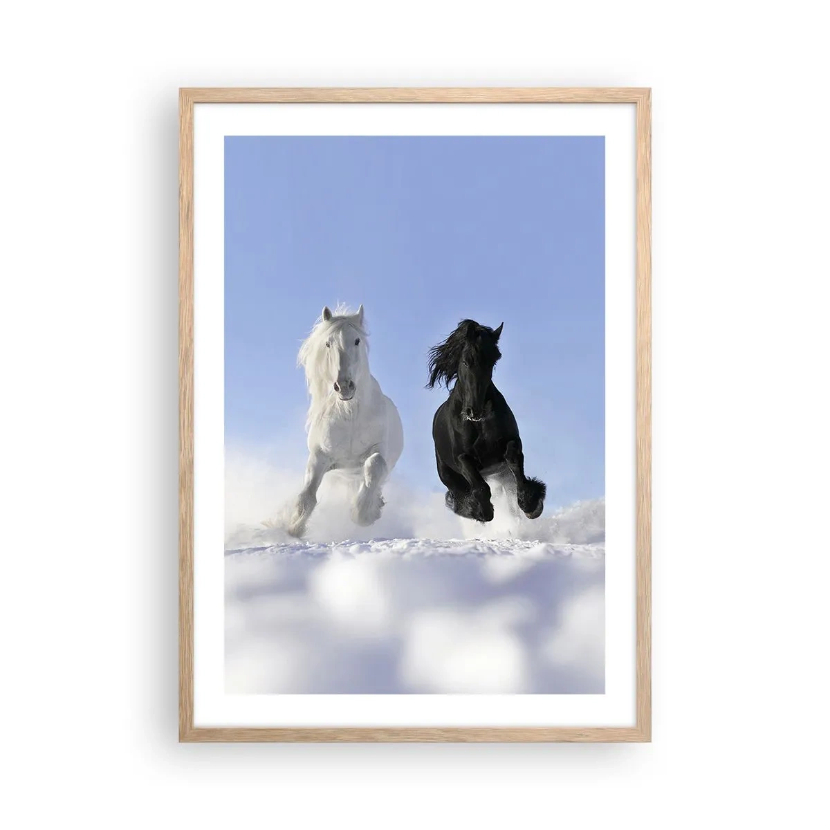 Plakat w ramie jasny dąb - Czarno-biały galop - 50x70 cm