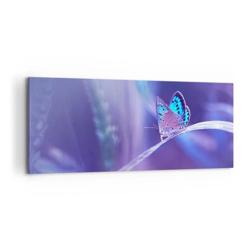 Obraz na płótnie - Delikatny niebieski motyl na łodydze w świetle fioletowym - 120x50cm - Klejnot natury - Nowoczesna dekoracja ścienna do salonu i sypialni ARTTOR